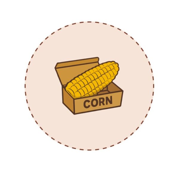 Corn Box